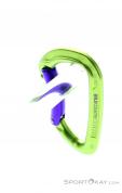 Wild Country Session Bent Gate Carabiner, Wild Country, Green, , Male,Female,Unisex, 0243-10136, 5638020593, 4053866159401, N3-13.jpg
