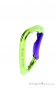 Wild Country Session Bent Gate Carabiner, Wild Country, Green, , Male,Female,Unisex, 0243-10136, 5638020593, 4053866159401, N3-18.jpg