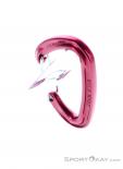 Wild Country Wildwire 20cm Carabiner, Wild Country, Red, , Male,Female,Unisex, 0243-10139, 5638020598, 5033286111158, N3-13.jpg