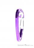 Wild Country Helium 3.0 Carabiner, , Purple, , Male,Female,Unisex, 0243-10141, 5638020619, , N2-17.jpg