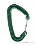 Wild Country Astro Carabiner, Wild Country, Green, , Male,Female,Unisex, 0243-10143, 5638020647, 5033286111875, N1-01.jpg