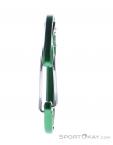 Wild Country Astro Carabiner, Wild Country, Green, , Male,Female,Unisex, 0243-10143, 5638020647, 5033286111875, N1-06.jpg