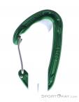 Wild Country Astro Carabiner, Wild Country, Green, , Male,Female,Unisex, 0243-10143, 5638020647, 5033286111875, N1-11.jpg