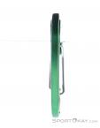 Wild Country Astro Carabiner, Wild Country, Green, , Male,Female,Unisex, 0243-10143, 5638020647, 5033286111875, N1-16.jpg