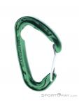 Wild Country Astro Carabiner, Wild Country, Green, , Male,Female,Unisex, 0243-10143, 5638020647, 5033286111875, N2-02.jpg