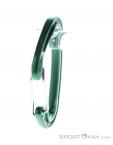 Wild Country Astro Carabiner, Wild Country, Green, , Male,Female,Unisex, 0243-10143, 5638020647, 5033286111875, N2-07.jpg