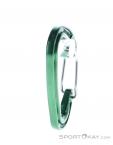 Wild Country Astro Carabiner, Wild Country, Green, , Male,Female,Unisex, 0243-10143, 5638020647, 5033286111875, N2-17.jpg