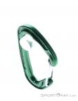 Wild Country Astro Carabiner, Wild Country, Green, , Male,Female,Unisex, 0243-10143, 5638020647, 5033286111875, N3-03.jpg