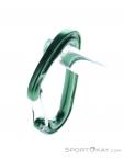 Wild Country Astro Carabiner, Wild Country, Green, , Male,Female,Unisex, 0243-10143, 5638020647, 5033286111875, N3-08.jpg