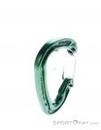 Wild Country Astro Carabiner, Wild Country, Green, , Male,Female,Unisex, 0243-10143, 5638020647, 5033286111875, N3-18.jpg