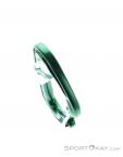 Wild Country Astro Carabiner, Wild Country, Green, , Male,Female,Unisex, 0243-10143, 5638020647, 5033286111875, N4-04.jpg