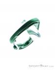 Wild Country Astro Carabiner, Wild Country, Green, , Male,Female,Unisex, 0243-10143, 5638020647, 5033286111875, N4-09.jpg