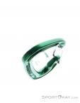 Wild Country Astro Carabiner, Wild Country, Green, , Male,Female,Unisex, 0243-10143, 5638020647, 5033286111875, N4-19.jpg