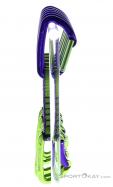 Wild Country Session 12cm 6er Quickdraw Set, Wild Country, Purple, , Male,Female,Unisex, 0243-10154, 5638020708, 4053866182799, N2-17.jpg