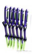 Wild Country Session 12cm 6er Quickdraw Set, Wild Country, Purple, , Male,Female,Unisex, 0243-10154, 5638020708, 4053866182799, N3-13.jpg