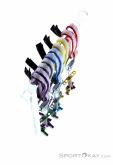 Wild Country Zero Friends Set Camming Device Set, Wild Country, Multicolored, , Male,Female,Unisex, 0243-10095, 5638020859, 4053866368315, N4-19.jpg