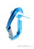 Wild Country Straight Gate Carabiner, Wild Country, Blue, , Male,Female,Unisex, 0243-10138, 5638023679, 5033286108240, N3-08.jpg