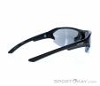 Alpina Lyron HR Sunglasses, , Black, , Male,Female,Unisex, 0027-10196, 5638030548, , N1-16.jpg