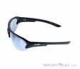 Alpina Lyron HR Sunglasses, , Black, , Male,Female,Unisex, 0027-10196, 5638030548, , N2-07.jpg