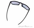 Alpina Nacan III Sunglasses, Alpina, Black, , Male,Female,Unisex, 0027-10224, 5638030570, 4003692316547, N4-14.jpg