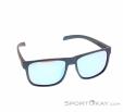 Alpina Nacan III Sunglasses, Alpina, Dark-Blue, , Male,Female,Unisex, 0027-10224, 5638030571, 4003692316523, N2-02.jpg