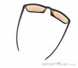 Alpina Nacan III Sunglasses, Alpina, Dark-Grey, , Male,Female,Unisex, 0027-10224, 5638030572, 4003692316530, N4-14.jpg