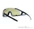 Alpina Hawkeye Q-Lite Sunglasses, Alpina, Black, , Male,Female,Unisex, 0027-10226, 5638030608, 4003692311559, N1-11.jpg