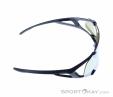 Alpina Hawkeye Q-Lite Sunglasses, , Black, , Male,Female,Unisex, 0027-10226, 5638030608, , N3-18.jpg