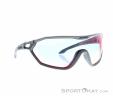Alpina S-Way QV Sunglasses, Alpina, Dark-Grey, , Male,Female,Unisex, 0027-10227, 5638030615, 4003692309518, N1-01.jpg