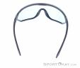 Alpina S-Way QV Sunglasses, Alpina, Dark-Grey, , Male,Female,Unisex, 0027-10227, 5638030615, 4003692309518, N3-13.jpg