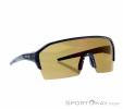 Alpina RAM HR Q-Lite Sunglasses, , Black, , Male,Female,Unisex, 0027-10228, 5638030621, , N1-01.jpg