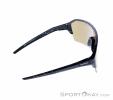 Alpina RAM HR Q-Lite Sunglasses, , Black, , Male,Female,Unisex, 0027-10228, 5638030621, , N2-17.jpg