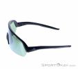 Alpina Turbo HR Q-Lite Sunglasses, , Black, , Male,Female,Unisex, 0027-10229, 5638030634, , N2-07.jpg