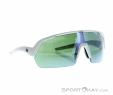 Alpina Turbo HR Q-Lite Sunglasses, , Gray, , Male,Female,Unisex, 0027-10229, 5638030635, , N1-01.jpg