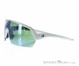 Alpina Turbo HR Q-Lite Sunglasses, , Gray, , Male,Female,Unisex, 0027-10229, 5638030635, , N1-06.jpg