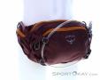 Osprey Seral 7l Hip Bag with Hydration Bladder, , Purple, , Male,Female,Unisex, 0149-10457, 5638034439, , N1-01.jpg
