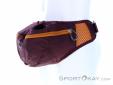 Osprey Savu 2l Hip Bag, , Purple, , Male,Female,Unisex, 0149-10460, 5638034453, , N1-06.jpg