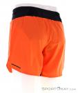 adidas Terrex Agravic Short Mens Running Shorts, adidas Terrex, Orange, , Male, 0359-10303, 5638038591, 4066751211672, N1-11.jpg