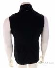 Salewa Pedroc DST Light Vest Mens Outdoor vest, Salewa, Black, , Male, 0032-11316, 5638039456, 4053866521246, N2-12.jpg