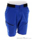 Salewa Pedroc Pro DST Cargo Mens Outdoor Shorts, , Blue, , Male, 0032-11327, 5638043827, , N2-02.jpg