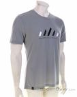 Salewa Pure Stripes Dry Hommes T-shirt, Salewa, Gris, , Hommes, 0032-11336, 5638044034, 4053866534239, N1-01.jpg