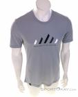 Salewa Pure Stripes Dry Hommes T-shirt, Salewa, Gris, , Hommes, 0032-11336, 5638044034, 4053866534239, N2-02.jpg