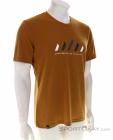 Salewa Pure Stripes Dry Hommes T-shirt, Salewa, Brun, , Hommes, 0032-11336, 5638044039, 4053866534154, N1-01.jpg