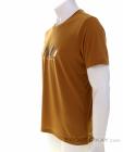 Salewa Pure Stripes Dry Hommes T-shirt, Salewa, Brun, , Hommes, 0032-11336, 5638044039, 4053866534154, N1-06.jpg