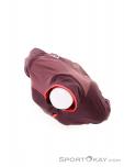 Ortovox Pala Light Donna Giacca Outdoor, Ortovox, Rosso scuro, , Donna, 0016-11687, 5638049729, 4251877703105, N5-05.jpg