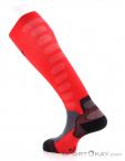 Lenz Compression Socks 1.0 Socks, Lenz, Red, , Male,Female,Unisex, 0051-10041, 5638053080, 9006729951358, N1-11.jpg