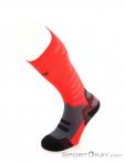 Lenz Compression Socks 1.0 Socks, Lenz, Red, , Male,Female,Unisex, 0051-10041, 5638053080, 9006729961357, N2-07.jpg