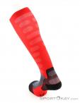 Lenz Compression Socks 1.0 Socks, Lenz, Red, , Male,Female,Unisex, 0051-10041, 5638053080, 9006729961357, N2-12.jpg