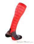 Lenz Compression Socks 1.0 Socks, Lenz, Red, , Male,Female,Unisex, 0051-10041, 5638053080, 9006729961357, N2-17.jpg