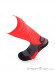 Lenz Compression Socks 1.0 Chaussettes, Lenz, Rouge, , Hommes,Femmes,Unisex, 0051-10041, 5638053080, 9006729961357, N3-08.jpg